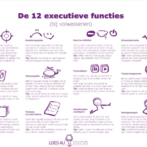 Executieve Functie - Traject